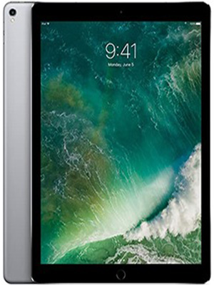 iPad Pro 12.9 2nd Gen
