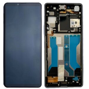 Sony Xperia 10 V Display